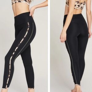 STRUT THIS NWT HAVANA ANKLE WILDCAT BLACK LEGGINGS